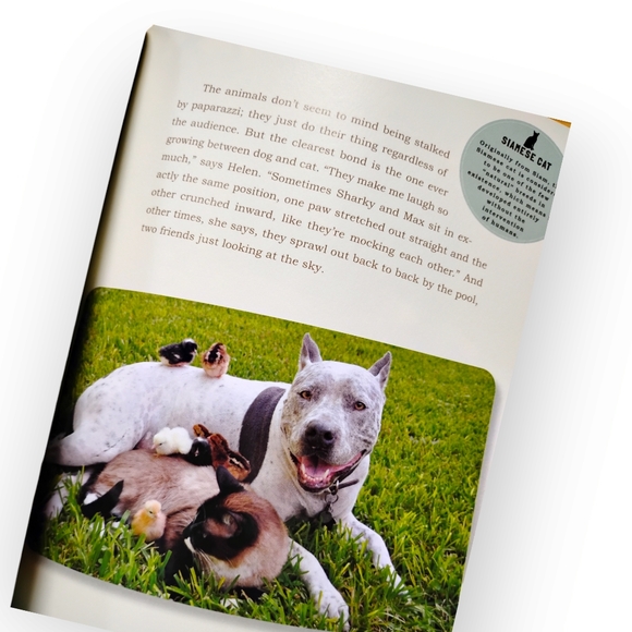 Unlikely Friendships - 47 Remarkable Friendships from the Animal Kingdom Book - Picture 7 of 7